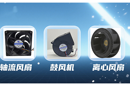 五类风扇的详细解析